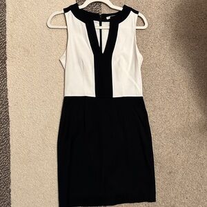 Banana Republic Black and White Mini Dress